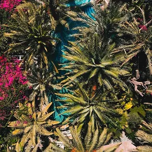 Flamingo & - Pet Friendly Ölüdeniz